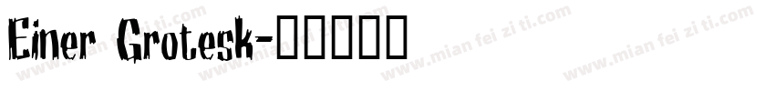 Einer Grotesk字体转换